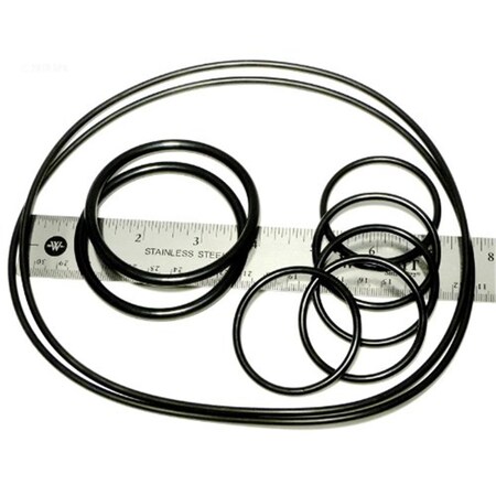 Caretaker O-Ring Kit